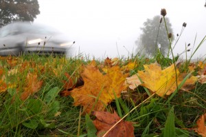 Herbstlaub. Foto: TÜV Süd.