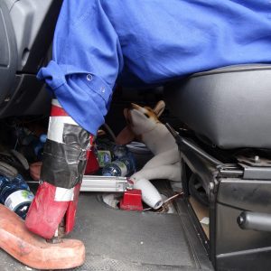 Ein recht lebloser Pfiffi: Wohnmobile im Straßenverkehr - Crashtest der Unfallforschung der Versicherer (UDV) bei CTS in Münster. Foto: Petra Grünendahl,