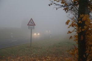 Im Herbst müssen sich Autofahrer auf Nebel und  Wildwechsel einstellen und ihre Fahrweise  dementsprechend anpassen. Foto: ARCD.